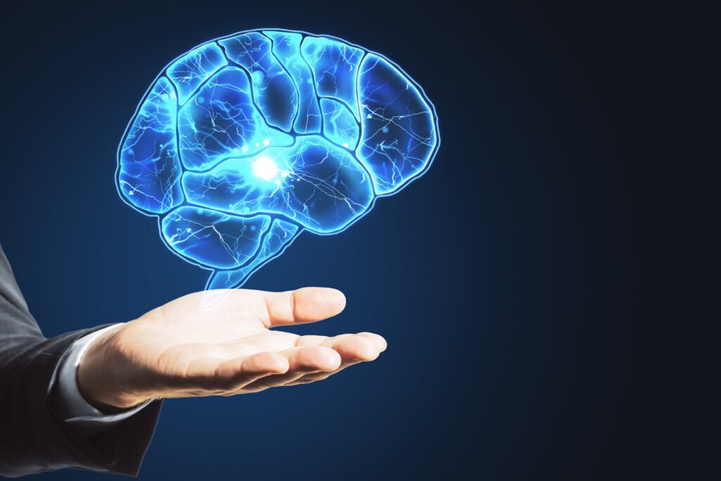 Human Brain